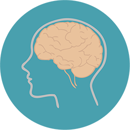 brain